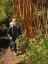 Ashe, hiking through a grove of arrayanes trees.